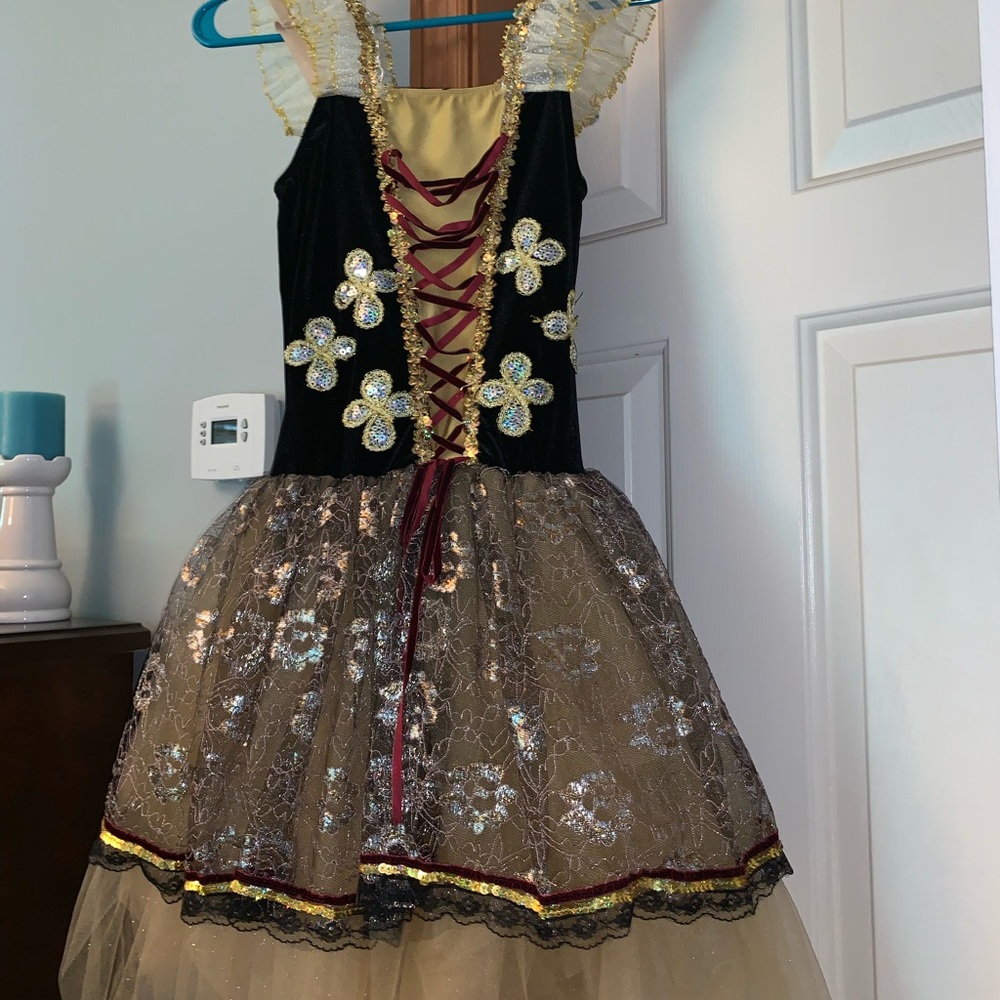 Medieval Halloween Costume / Dance Costume